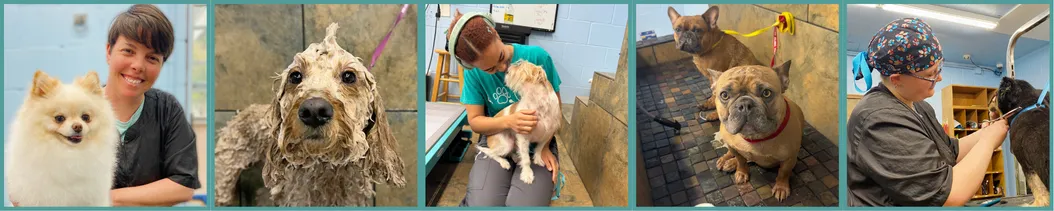 Grooming Film Roll 1