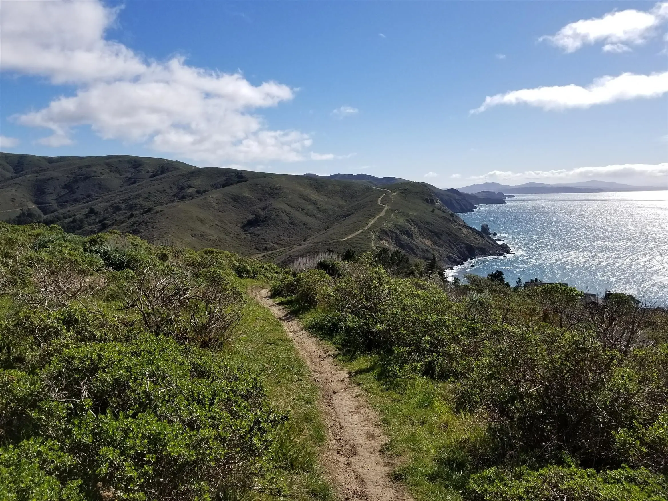 Healing is a path to recovery