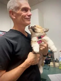Duval w/ a Puppy Patient