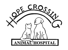 animal hope hospital