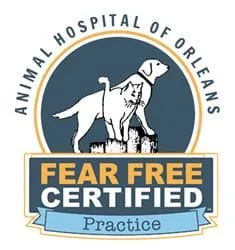 ANIMAL HOSPITAL OF ORLEANS