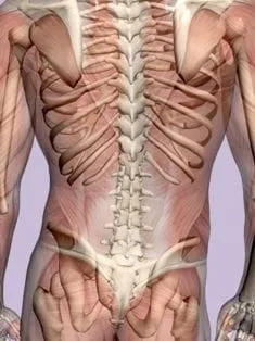 lower back pain specialist austin tx