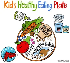 Image result for kids healthy eating plate harvard