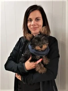 dog in the arms of woman