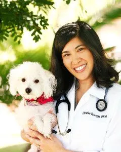 Veterinarian in Burbank, CA  Rainbow Veterinary Hospital