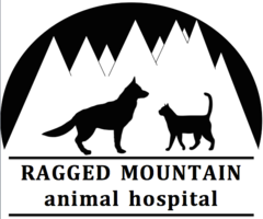 signal mountain animal hospital