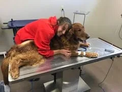 Chemo patient gets some TLC from April