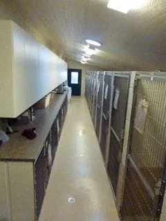 Temperature controlled indoor kennels
