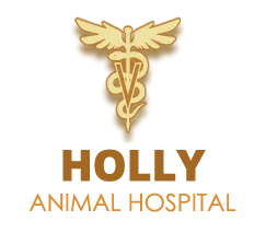 HOLLY ANIMAL HOSPITAL