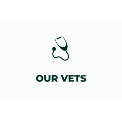 Our vets information icon