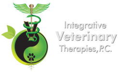 IVTLOGO
