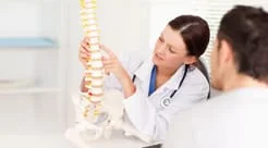 spine 
