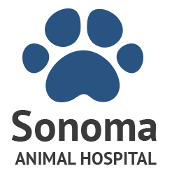 Sonoma Animal Hospital