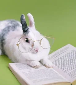 Bunny-Glasses