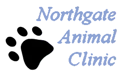 Northgate Animal Clinic