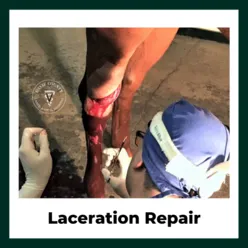 Laceration Repair