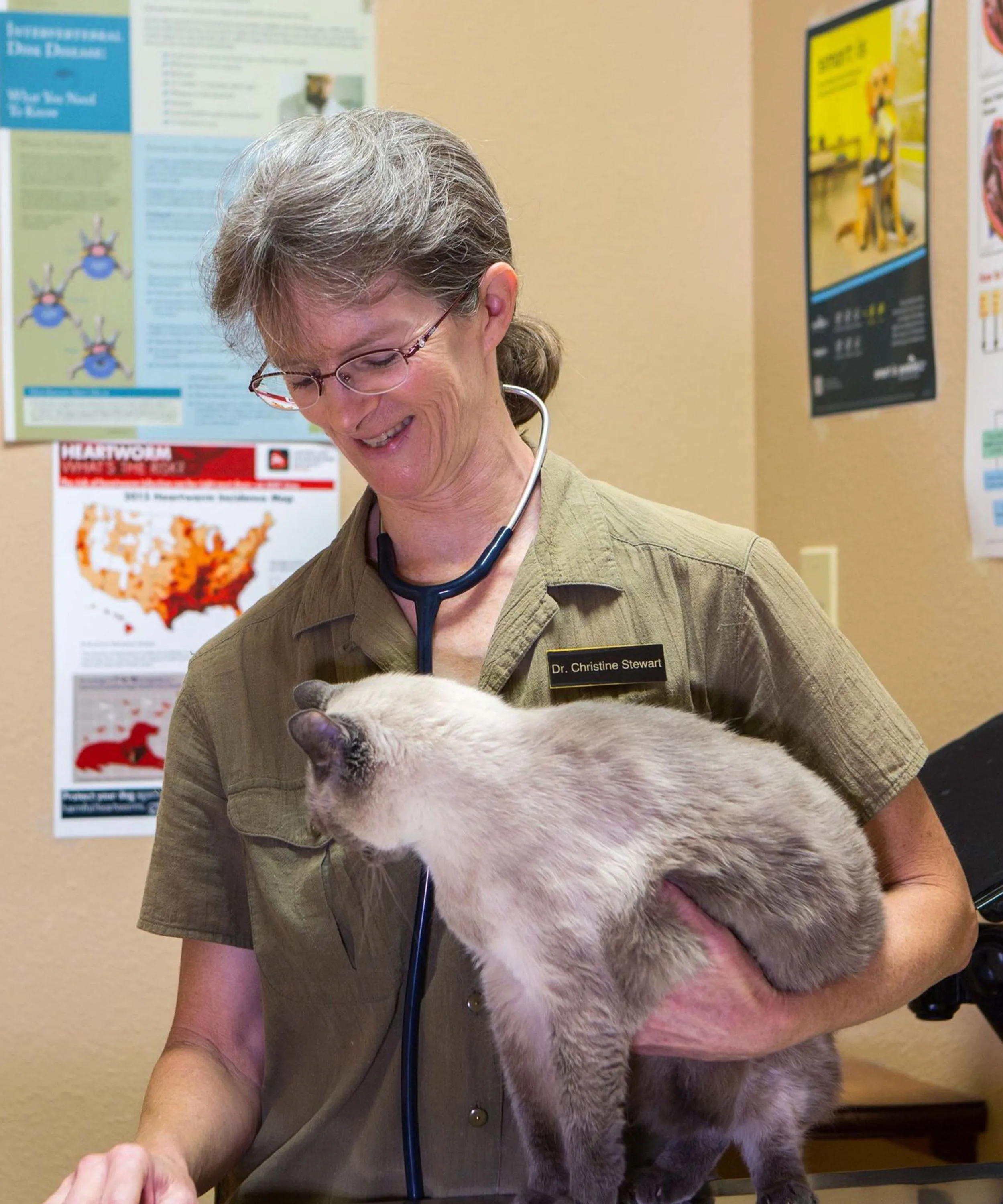 Dr. Christine Stewart