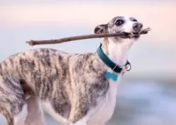 Alyssa is always busy 