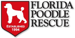 Florida Poodle Rescue