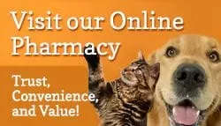 Visit-Pharmacy-Banner.jpg