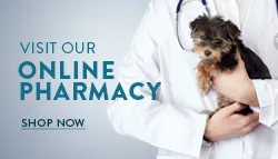 Online pharmacy is available. There are a lot of discounts and specials.
