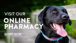 Covetrus Online Pharmacy, redirect