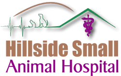 Hillside Small Animal Hospital