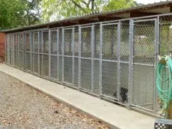 outdoor kennels