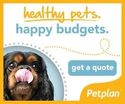 Pet plan Pet Health Insurance for dogs and cats.