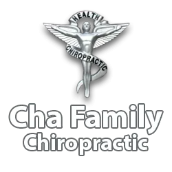 round spine logo