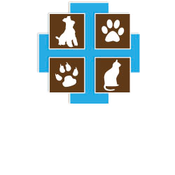 Veterinarian in Pleasanton, CA - Animal Medical Center of Pleasanton Veterinarian in Pleasanton, CA - Animal Medical Center of Pleasanton