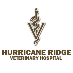 Hurricane Ridge Veterinary Hospital
