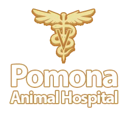 Pomona Animal Hospital