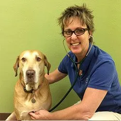 Elizabeth J. Olson, DVM, CCRT