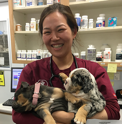 Animal Medical Center - Veterinarian in Valencia, CA US