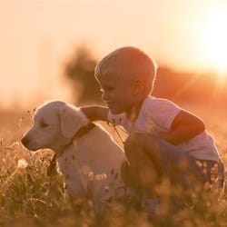 boy and dog in field