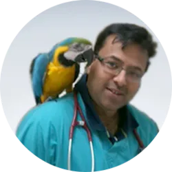 Dr.Mandeep Chaudhary