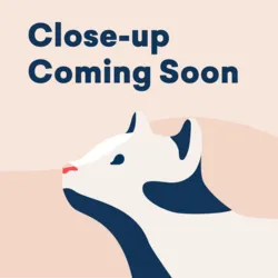 closeupcomingsoon