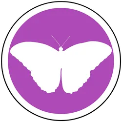 Visions of Potential