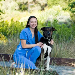 Picture of Dr. Shen with her dog Okapi!