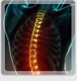 Chiropractic treatments can promote a healthier spine.