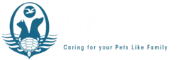 Oceanlake Veterinary Clinic