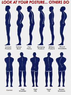 posture4.gif