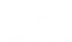Pioneer Counseling and Consulting