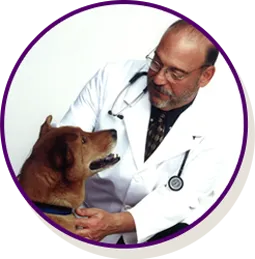 doctor and dog