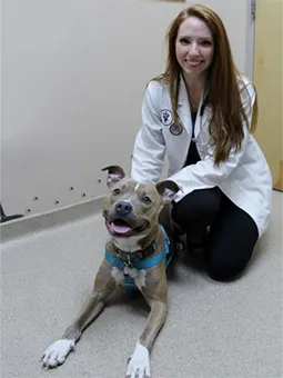 Dr. Laura Daily at Danada Veterinary Hospital in Wheaton 