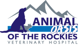 Veterinarian in Broomfield, CO | Animal Oasis of the Rockies