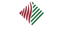 Armstrong Chiropractic Logo