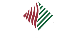 About Us Armstrong Chiropractic 