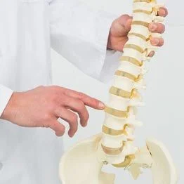 Chiropractic Doctor Near Me